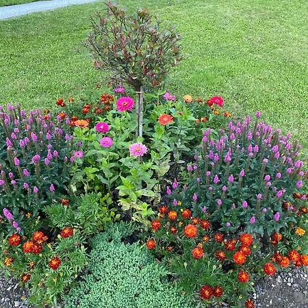 Pri Marjetki דירה *