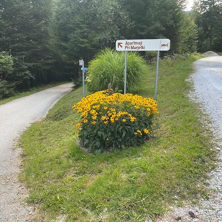 Pri Marjetki Apartmán Cerkno