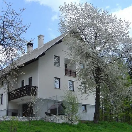 Apartman Pri Marjetki *