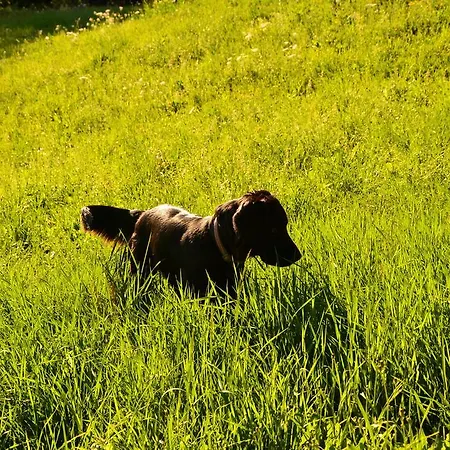 Pri Marjetki * Cerkno