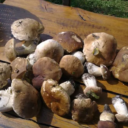 Apartamento Pri Marjetki *