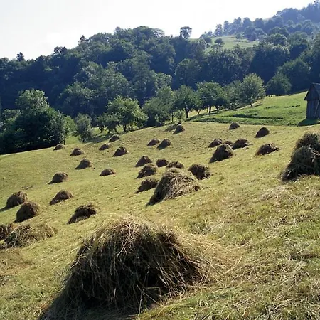 Pri Marjetki Lejlighed