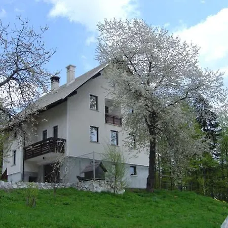 Pri Marjetki