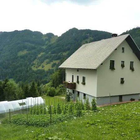 Apartamento Pri Marjetki *