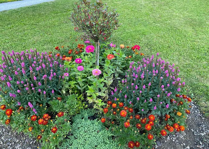 Pri Marjetki דירה *