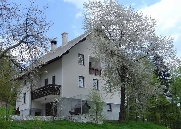 Apartment Pri Marjetki *