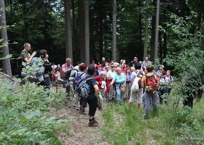 Pri Marjetki Apartment Cerkno