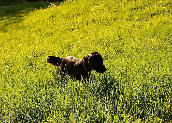 Pri Marjetki * צ'רקנו