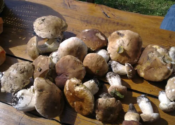 Apartment Pri Marjetki *