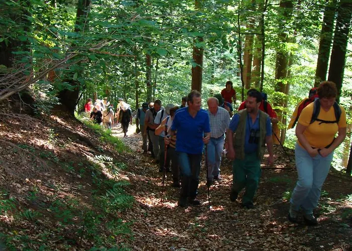 Apartment Pri Marjetki