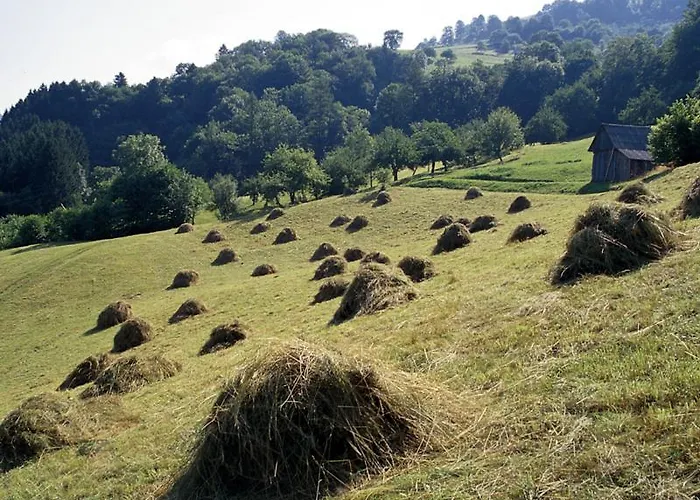 Pri Marjetki Appartement