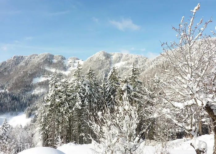 דירה Pri Marjetki צ'רקנו
